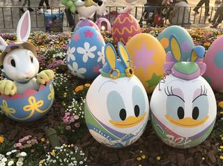 2017-04-30 19.03.24.jpg