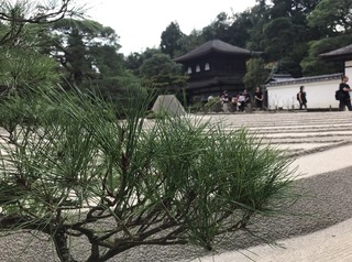 2017-10-21 16.21.14.jpg
